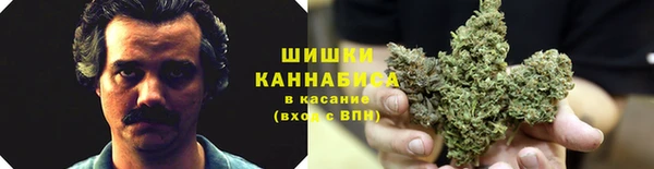 твердый Кодинск