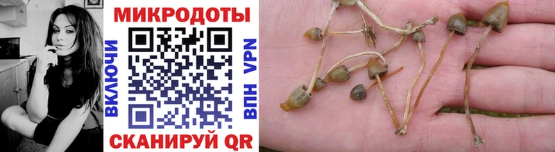 Псилоцибиновые грибы Cubensis  что такое   Медвежьегорск 