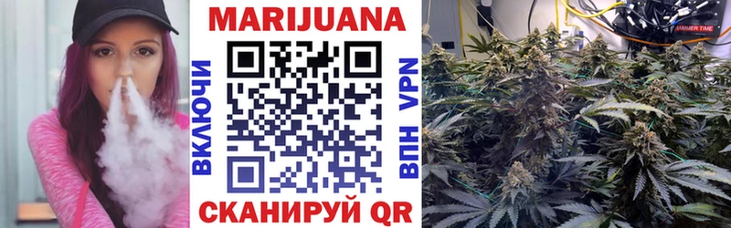 Шишки марихуана конопля  продажа наркотиков  Медвежьегорск 